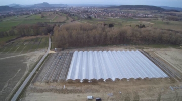 HESPERID en Allemagne
