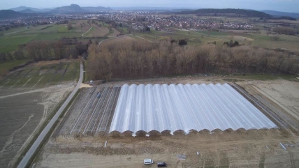 HESPERID en Allemagne
