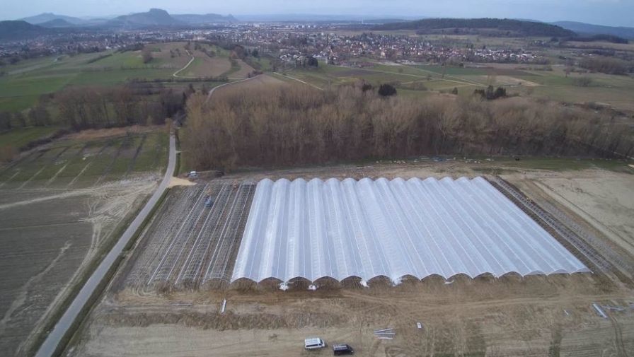 HESPERID en Allemagne HESPERID en Allemagne