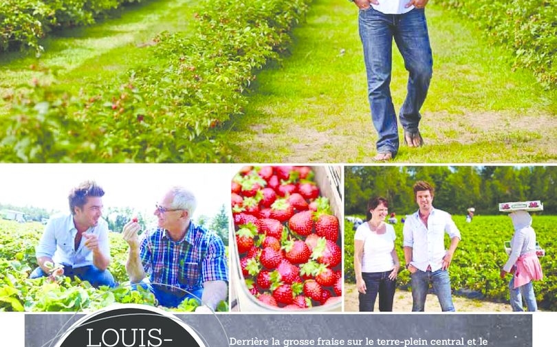 FraiseBec utilise Solane pour la traçabilité des barquettes de fraise. Signé M, novembre 2013